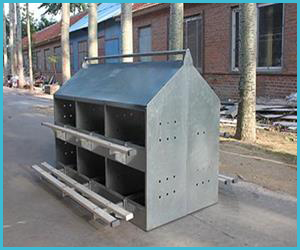 人工撿蛋產（chǎn）蛋箱