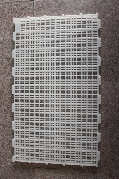 種雞平養塑（sù）料漏糞地板