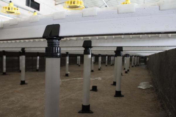 家禽漏糞地（dì）板