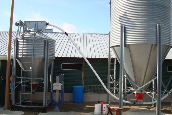 養雞自動喂料係統