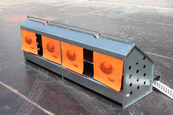 自動集蛋式產蛋箱