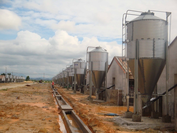 絞龍式直線自動（dòng）供（gòng）料