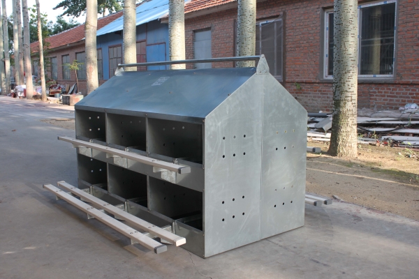 人工撿蛋（dàn）產蛋箱