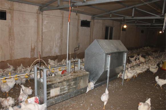 料量可調飼料箱