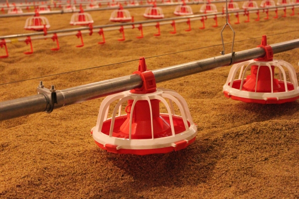 商品雞盤式驅動